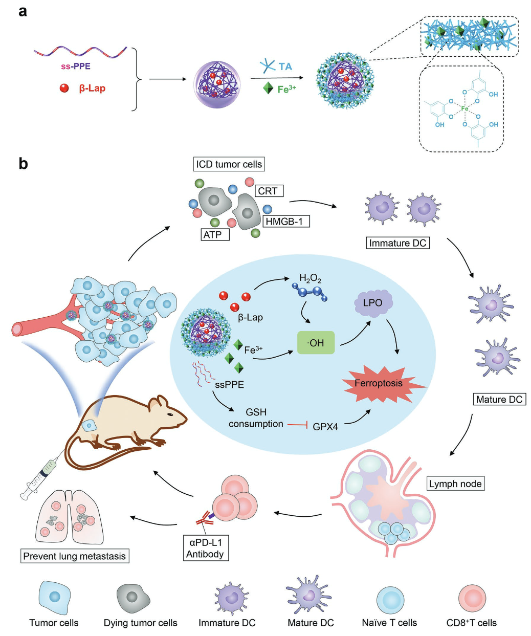 说明: C:\Users\Administrator\Desktop\图片.png